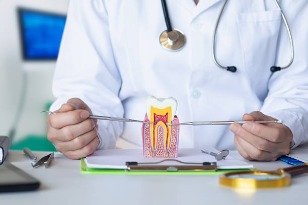 Best Broken or Cracked Tooth Emergency Dentist in Rensselaer, NY